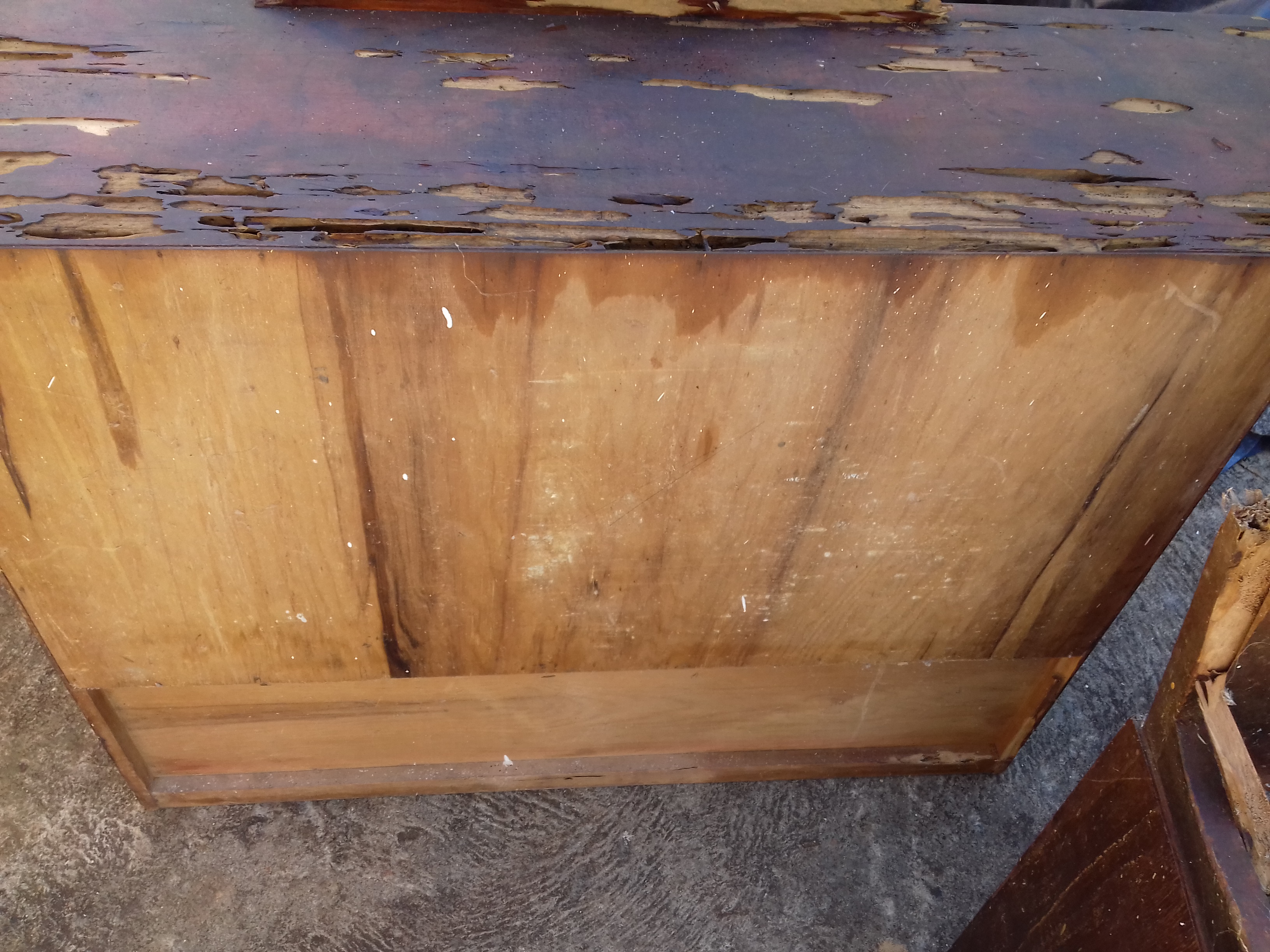 Tratamento Contra Cupim